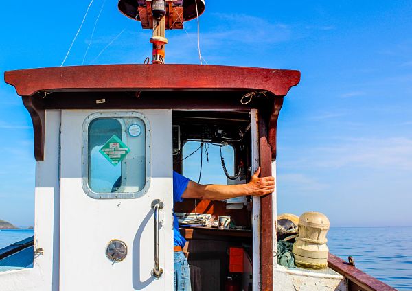 Cabina de un barco de pescadores con un pescador dentro con mar en calma y el cielo azul, distribución de conservas