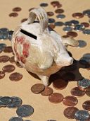 Cerdito hucha rodeado de monedas, presupuestos para catas de vinos en Salamanca